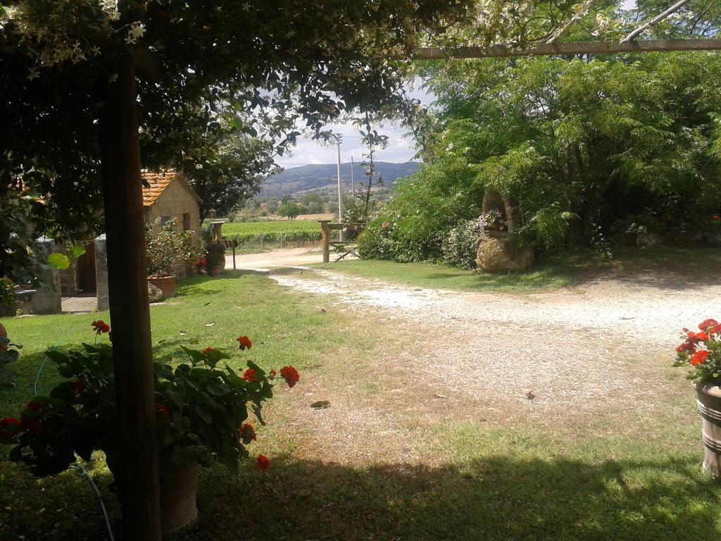 Poggio Dell'Olivo Pitigliano Exterior foto